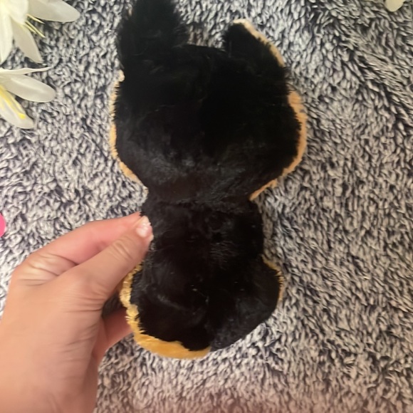 This is a beanie boo! she’s a small little dog that loves to play! - Picture 3 of 6